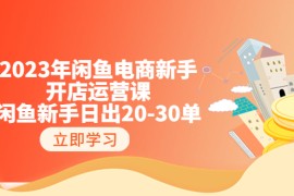 （6471期）2023年闲鱼电商新手开店运营课：闲鱼新手日出20-30单（18节-实战干货）