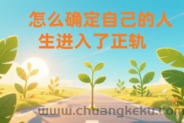 某公众号付费文章：怎么确定自己的人生进入了正轨？