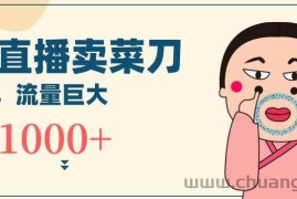 无人冷门品直播新玩法，通过卖菜刀日入1000+【揭秘】