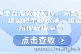 淘宝蓝海无货源课，精细运营，拒绝短平快玩法，拒绝简短课程凑章节