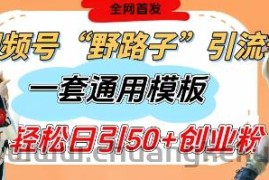 视频号“野路子”玩法，评论区疯狂截流，一套模板单日单号引流50+创业粉