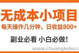 （17307期）无成本小项目 每天操作几分钟，真实日收益800+ 副业必看 小白必做！