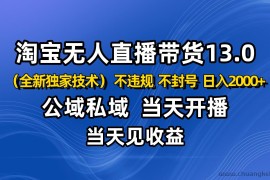 淘宝无人直播13.0，公域私域技术，不封号，不违规 布局下半年旺季赛道，日入2000+