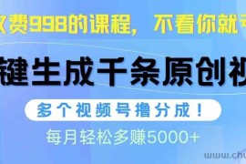 （10080期）视频号软件辅助日产1000条原创视频，多个账号撸分成收益，每个月多赚5000+