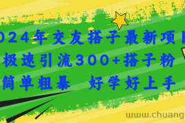 （11259期）2024年交友搭子最新项目，极速引流300+搭子粉，简单粗暴，好学好上手