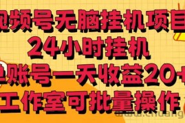 视频号无脑挂机项目，24小时挂机，单账号一天收益20＋，工作室可批量操作