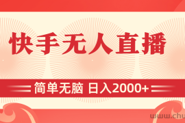 （11283期）快手无人直播，简单无脑，日入2000+