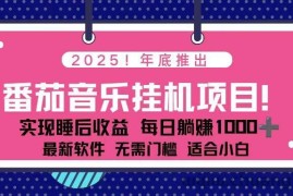 （16835期）全新平台，蓝海时期！2025年年底番茄音乐挂机项目，每天几分钟，月入1000＋，可矩阵