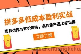 （15143期）拼多多低成本盈利实战，类目选择与定价策略，高权重产品上架实操