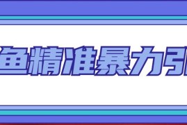 （4941期）闲鱼精准暴力引流全系列课程，每天被动精准引流200+客源技术（8节视频课）