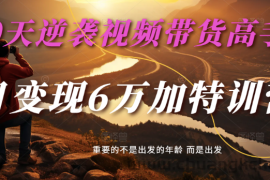 2025视频带货30天逆袭视频带货高手，单月变现6万加特训营