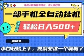 年底必做翻身项目，只需一部手机，每天操作十几分钟，轻松日入500+【揭秘】