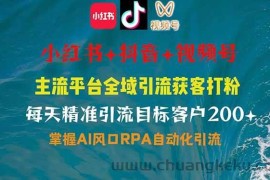 （14484期）小红书、抖音、视频号全域多平台引流获客，日引目标客户200+，RPA自动…