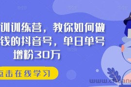 抖音实训训练营，教你如何做一个赚钱的抖音号，单日单号增粉30万