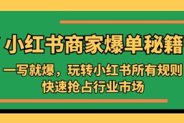 （5220期）小红书·商家爆单秘籍：一写就爆，玩转小红书所有规则，快速抢占行业市场