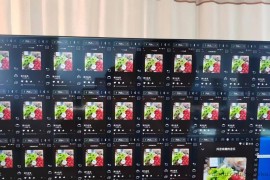 （3216期）外面卖3500的音乐人挂机群控防F脚本 支持腾讯/网易云/抖音 号称100%防F