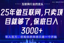 什么！25年你还在找项目做？风口早就变了，卖项目才是稳挣不赔【揭秘】