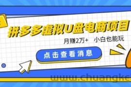 拼多多虚拟U盘电商红利项目：月赚2万+，新手小白也能玩