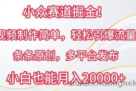小众赛道掘金，视频制作简单，轻松引爆流量，条条原创，多平台发布【揭秘】