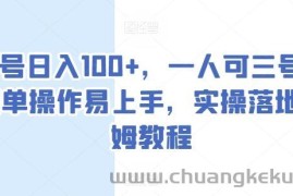 单号日入100+，一人可三号，简单操作易上手，实操落地保姆教程【揭秘】