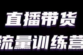 直播带货流量训练营，小白主播必学直播课
