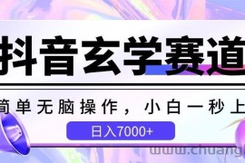 抖音玄学赛道，简单无脑，小白一秒上手，日入7000+【揭秘】