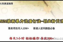 （10151期）2024年最新暴力流量打法，每日导入300+，靠卖项目月入10W+