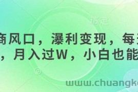 女杏商风口，瀑利变现，每天1小时，月入过W，小白也能做