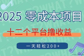 （14302期）2025年零成本项目，十二个平台撸收益，单号一天轻松200+