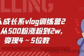 个人成长系vlog训练营2期，从500粉涨粉到2w，变现4～5位数