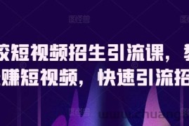 驾校短视频招生引流课，教你玩赚短视频，快速引流招生