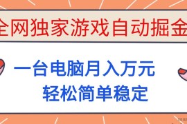 （16531期）全网独家游戏自动掘金，一台电脑月入万元，轻松简单稳定！