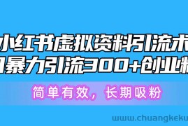 （10941期）小红书虚拟资料引流术，日暴力引流300+创业粉，简单有效，长期吸粉