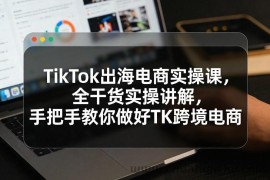 TikTok出海电商实操课，全干货实操讲解，手把手教你做好TK跨境电商