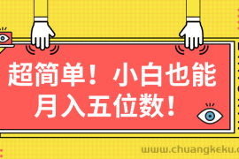 （10257期）超简单图文项目！小白也能月入五位数