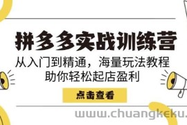 （14392期）拼多多实战训练营，从入门到精通，海量玩法教程，助你轻松起店盈利