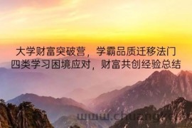 大学财富突破营，学霸品质迁移法门，四类学习困境应对，财富共创经验总结