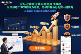 亚马逊卖家运营与利润提升课程，让你的每个SKU都成为爆款，让你的亚马逊利润一路飙升（更新12月）