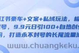 小红书豪车+文案+私域玩法，极速起号，9.9元日引100+自热创业粉，打造永不封号的长尾流量池