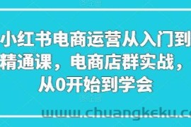 小红书电商运营从入门到精通课，电商店群实战，从0开始到学会