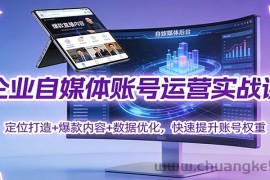 企业自媒体账号运营实战课：定位打造+ 爆款内容+数据优化，快速提升账号权重