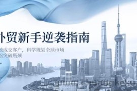 （14201期）外贸新手逆袭指南：高效成交客户，科学规划全球市场，轻松突破瓶颈