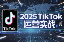 2025TikTok电商运营，掌握TikTok店铺运营核心技巧，实现低成本高转化