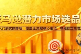 亚马逊从0到1选品课，新手入门到实操落地，覆盖全流程核心要点，精准锁定高潜力市场