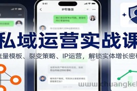 私域运营实战课：流量模板、裂变策略、 IP运营，解锁实体增长密码