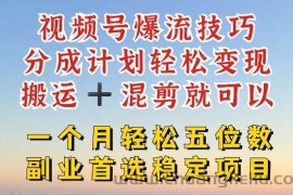 视频号爆流技巧，分成计划轻松变现，搬运 +混剪就可以，一个月轻松五位数稳定项目【揭秘】
