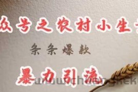 deepseek写农村小项目，条条爆款，暴力引流