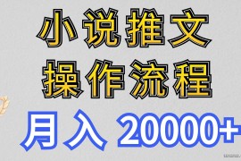 小说推文项目新玩法操作全流程，月入20000+，门槛低非常适合新手