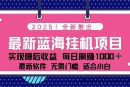 （14216期）2025最新挂机躺赚项目 一台电脑轻松日入500