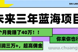 （11716期）未来三年，蓝海赛道，月入3万+